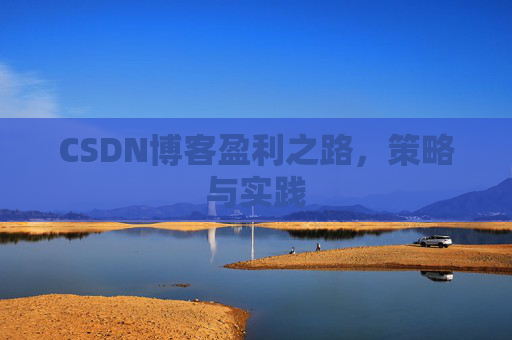 CSDN博客盈利之路，策略与实践